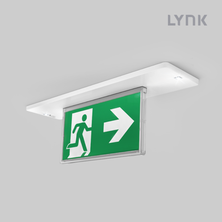 Razor 16M Lynk