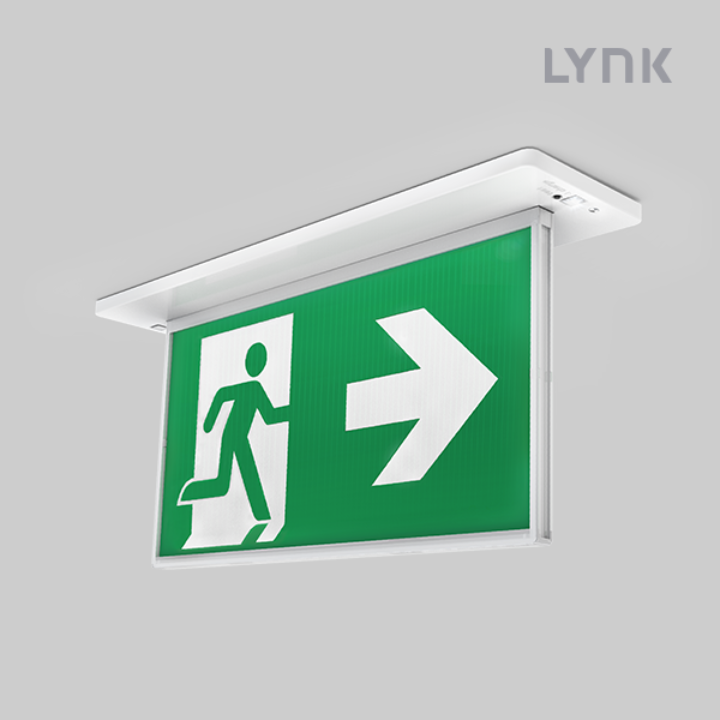 Razor 24M Lynk