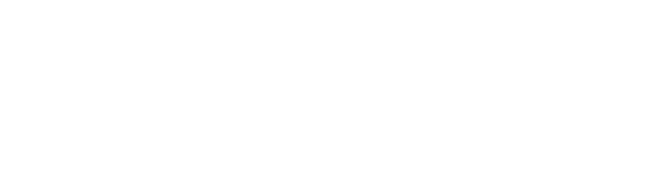 Image module