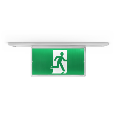 Image module