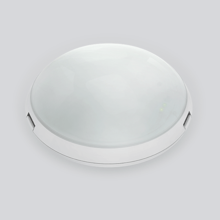 Pearl IP65 Professional